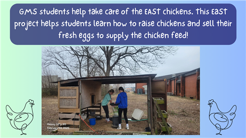 EAST chickens